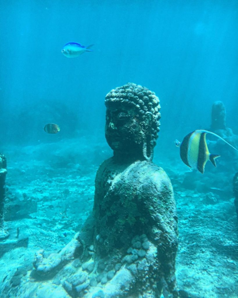 Rencontrez le Bouddha sous-marin de Bali à Plongée Nusa Penida