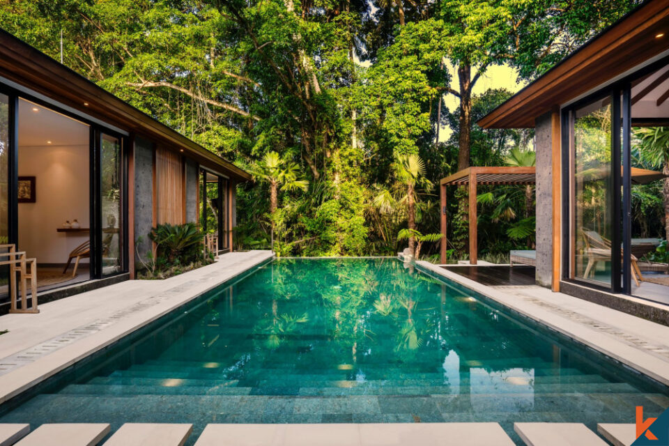 The Future of Bali Villas: A Growing Market
